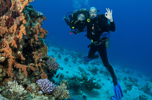 Dykning i Fuerteventura